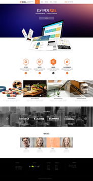 网页设计作品 创意与用户体验的完美融合