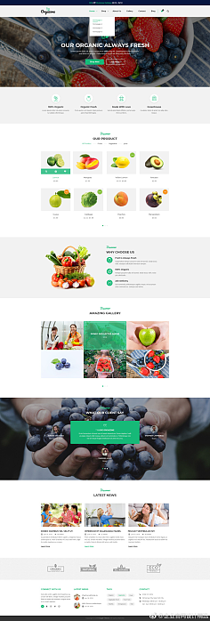 网页设计中的专题页面 打造沉浸式用户体验与视觉盛宴