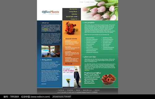 欧美植物网页设计的艺术与趋势